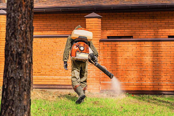 Bed Bug Clearance Verification and Documentation in Stone Park